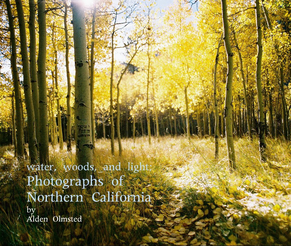 View water, woods, and light; Photographs of Northern California by Alden Olmsted by alden olmsted