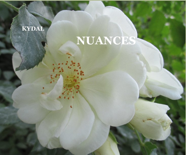 View Nuances by KYDAL