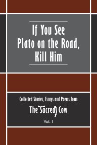 If You See Plato on the Road, Kill Him book cover