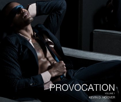 PROVOCATION: VOLUME 1 book cover