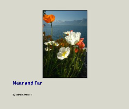 Near and Far book cover