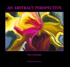 AN ABSTRACT PERSPECTIVE book cover