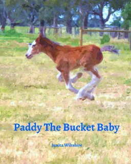 Paddy The Bucket Baby book cover