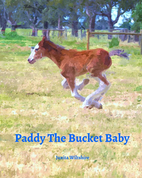 View Paddy The Bucket Baby by Junita Wiltshire