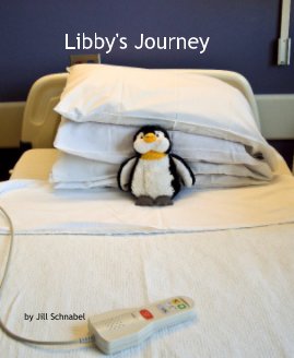 Libby's Journey book cover