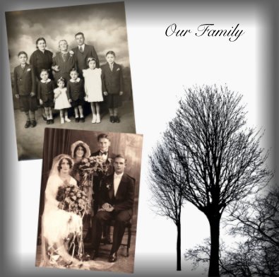 Our Family book cover