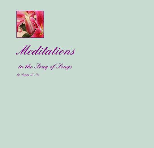 View Meditations by Peggy L. Noe