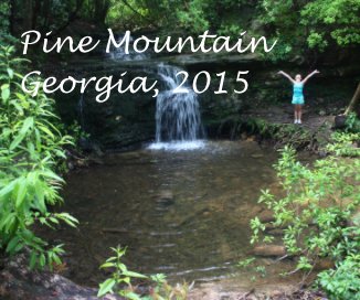 Pine Mountain Georgia, 2015 book cover