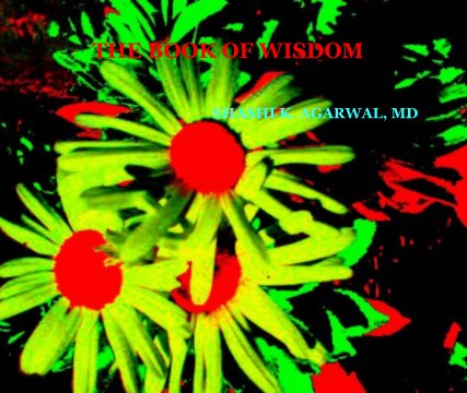 THE BOOK OF WISDOM book cover