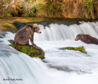Brooks Falls,Alaska 2014 book cover