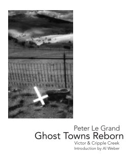 Ghost Towns Reborn book cover