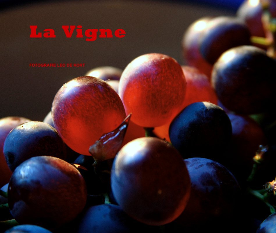 Ver La Vigne     -     2e druk por FOTOGRAFIE LEO DE KORT