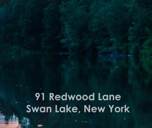 91 Redwood Lane book cover