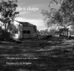 give life a shape book cover