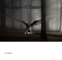 Un Angelo E' Caduto book cover