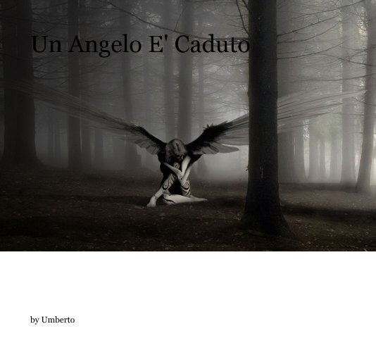 View Un Angelo E' Caduto by Umberto