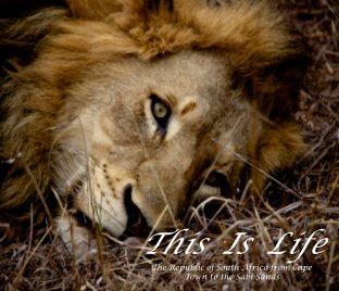 This Is Life book cover
