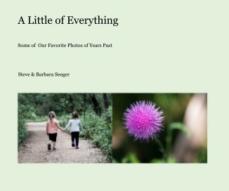 A Little of Everything book cover