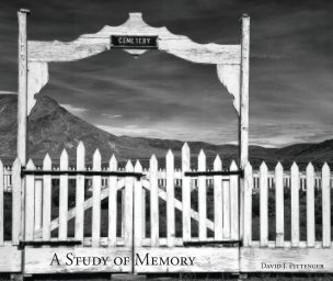 Cemetery - A Study of Memory book cover
