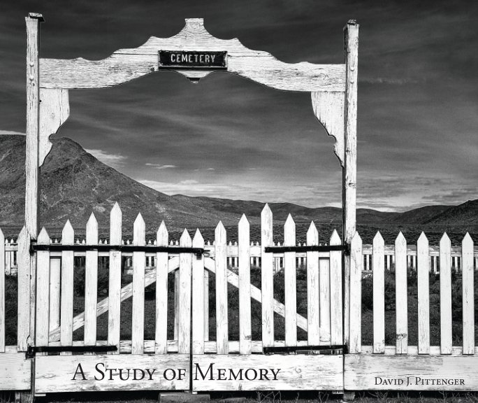 Ver Cemetery - A Study of Memory por David J. Pittenger