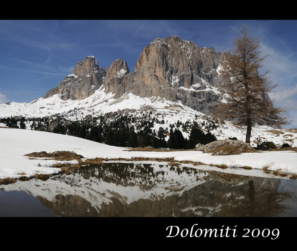 View Dolomiti by Eddy Van Ryckeghem