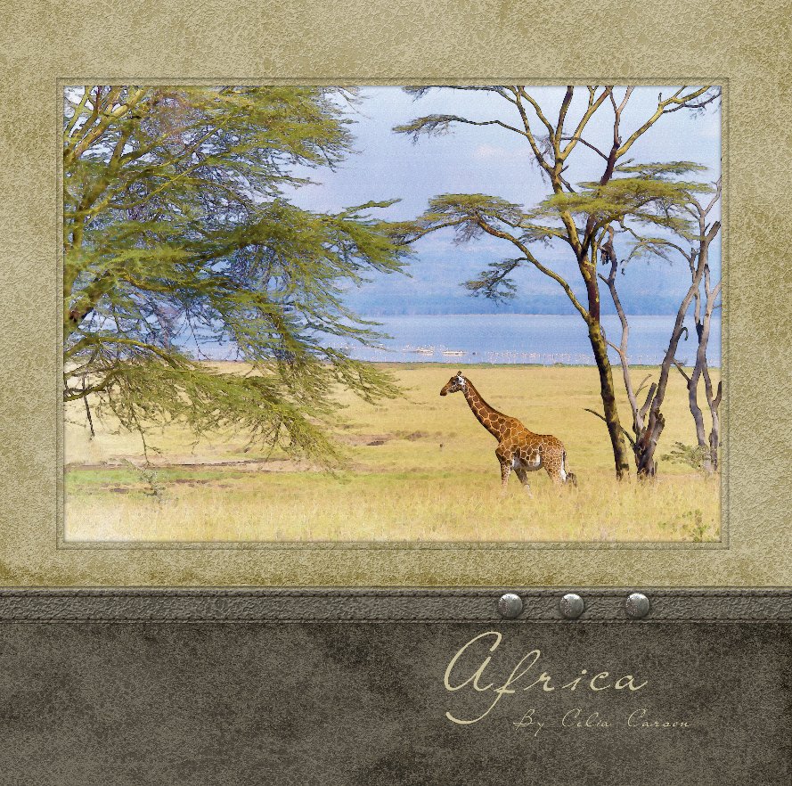 View Africa by Celia Carson
