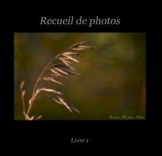 Recueil de photos (Livre 1) book cover