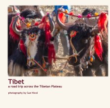 Tibet a road trip across the Tibetan Plateau book cover
