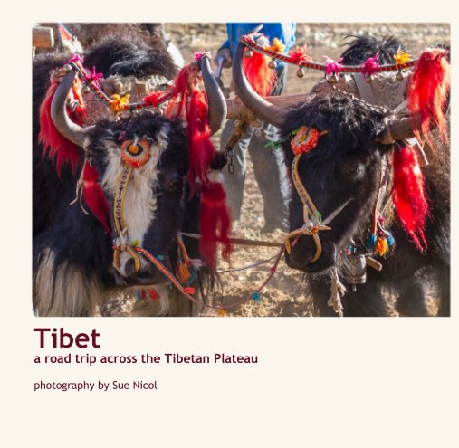 Visualizza Tibet a road trip across the Tibetan Plateau di Sue Nicol photographer