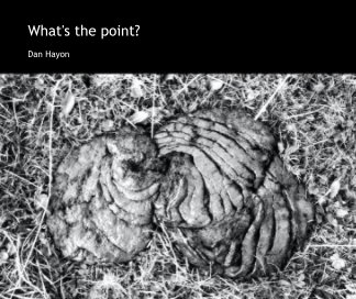 What's the point? book cover