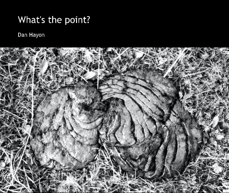 View What's the point? by Dan Hayon