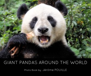 Giant pandas around the world book cover