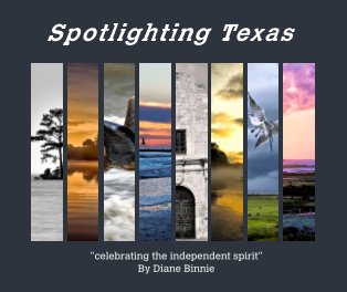 Spotlighting Texas book cover