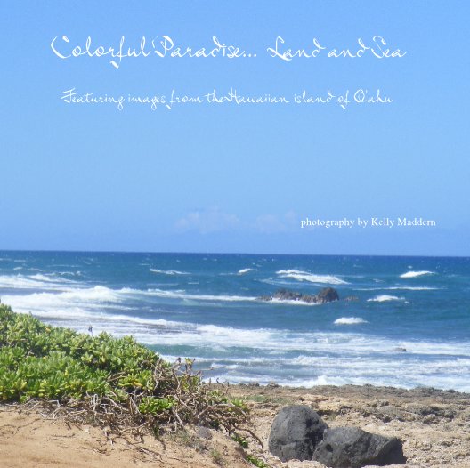 Ver Colorful Paradise...  Land and Sea
Featuring images from the Hawaiian island of O'ahu


photography by Kelly Maddern por k.mad