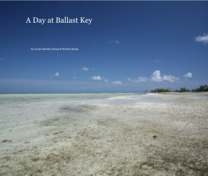 A Day at Ballast Key book cover