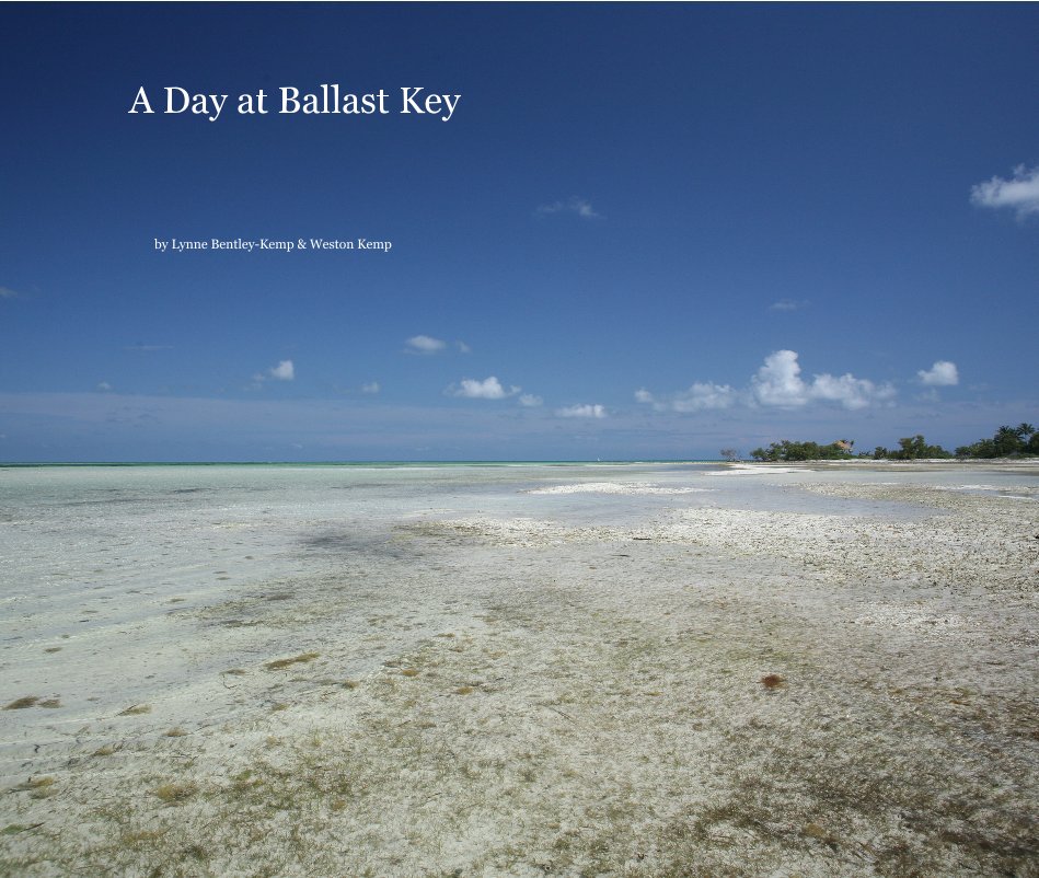 View A Day at Ballast Key by Lynne Bentley-Kemp & Weston Kemp