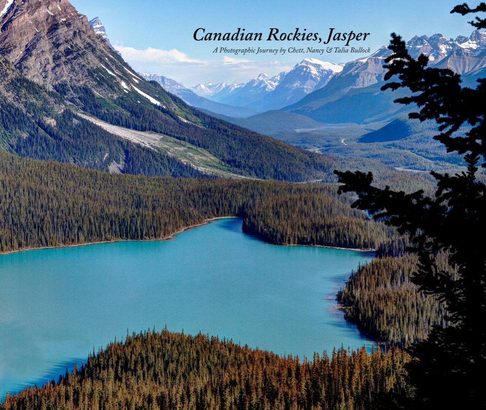 View Canadian Rockies - Jasper by Chett K Bullock