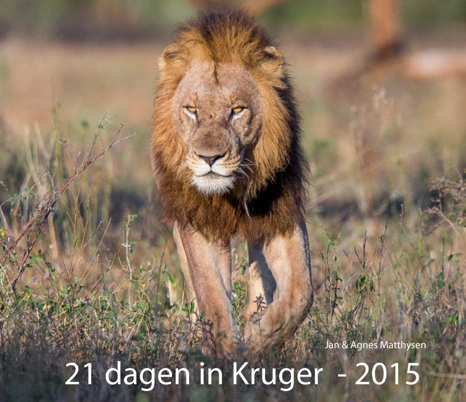 Ver Kruger 2015 por Agnes  and Jan Matthysen