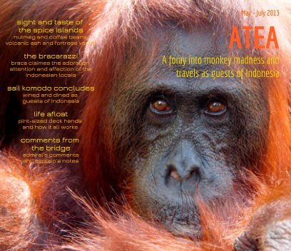S.V. Atea: Indonesia book cover