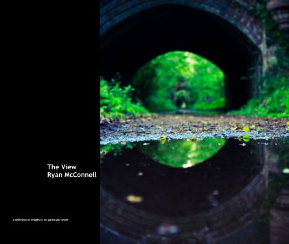 The View book cover