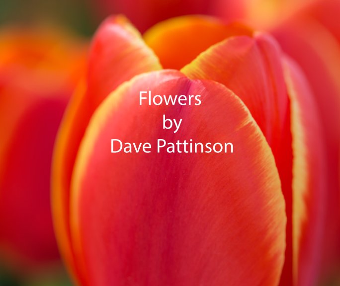 View Flowers by Dave Pattinson