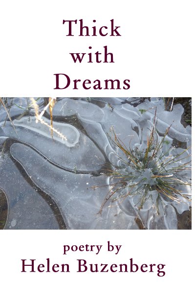 View Thick with Dreams by poetry by Helen Buzenberg