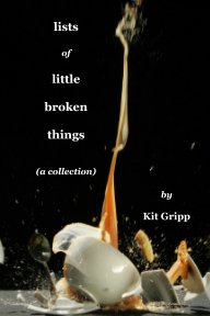 lists of little broken things book cover
