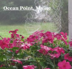 Ocean Point, Maine by Connie Saindon book cover