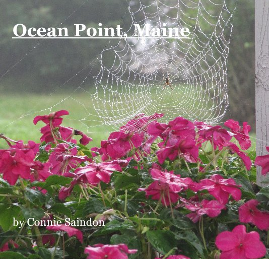 View Ocean Point, Maine by Connie Saindon by Connie Saindon