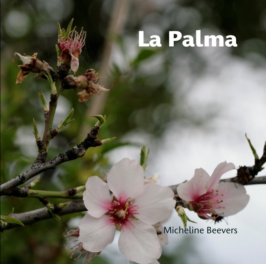 View La Palma by Micheline Beevers
