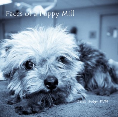 Faces of a Puppy Mill Zarah Hedge, DVM book cover