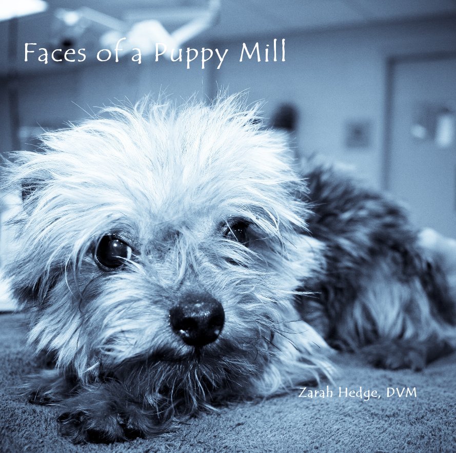 View Faces of a Puppy Mill Zarah Hedge, DVM by Zarah Hedge, DVM