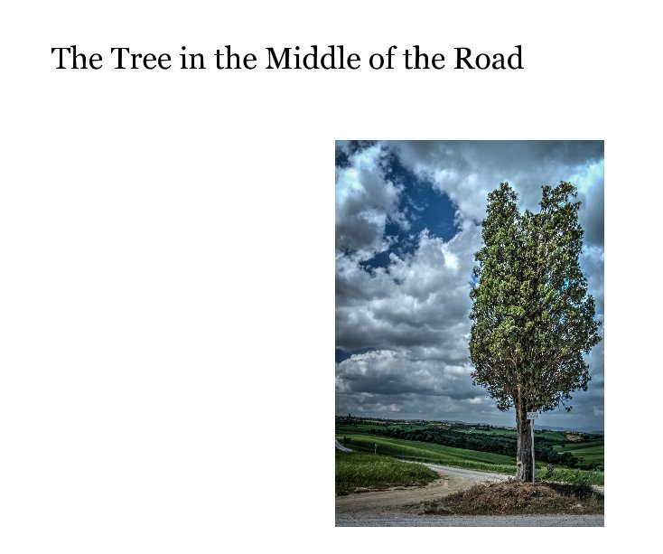 View The Tree in the Middle of the Road by David W Ferguson
