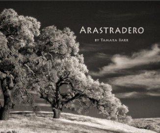 Arastradero book cover